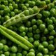Different Types of Peas