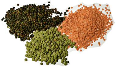 Different Types of Dal