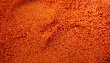 Best Substitutes for Ancho Chili Powder