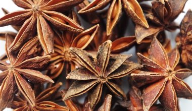 Substitutes for Star Anise