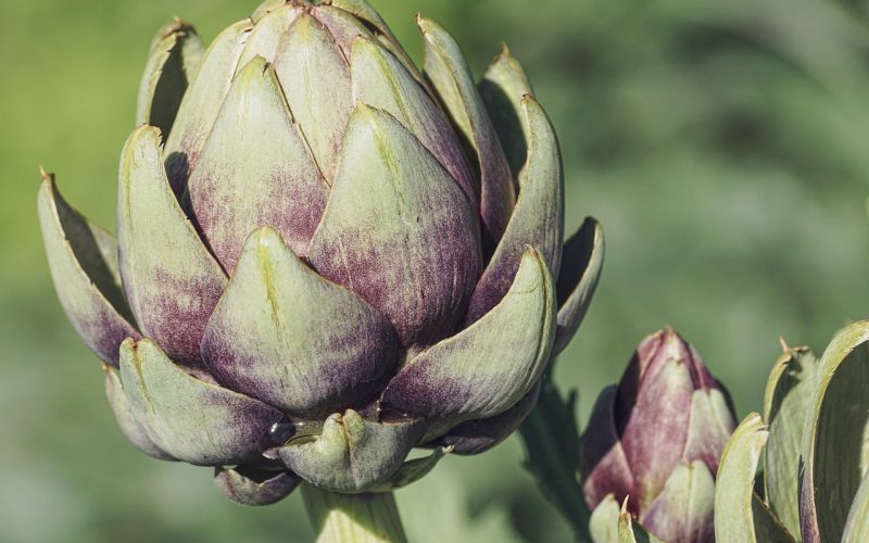 What to Serve With Artichokes