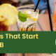 Drinks That Start With B