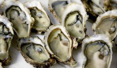 What To Serve With Oysters