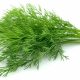 best substitutes for dill