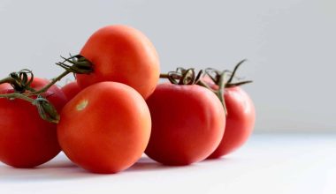 Substitutes For Tomato Allergy