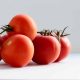 Substitutes For Tomato Allergy